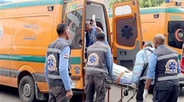 مصرع عامل على يد مسجل خطر في البدرشين إثر خلاف على هاتف